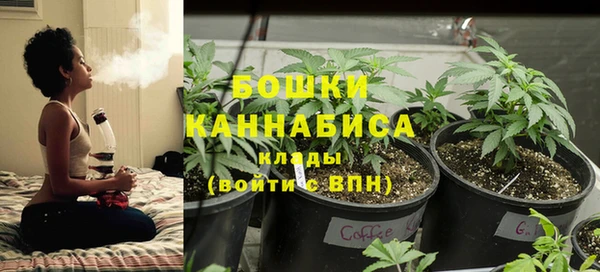ешки Осинники
